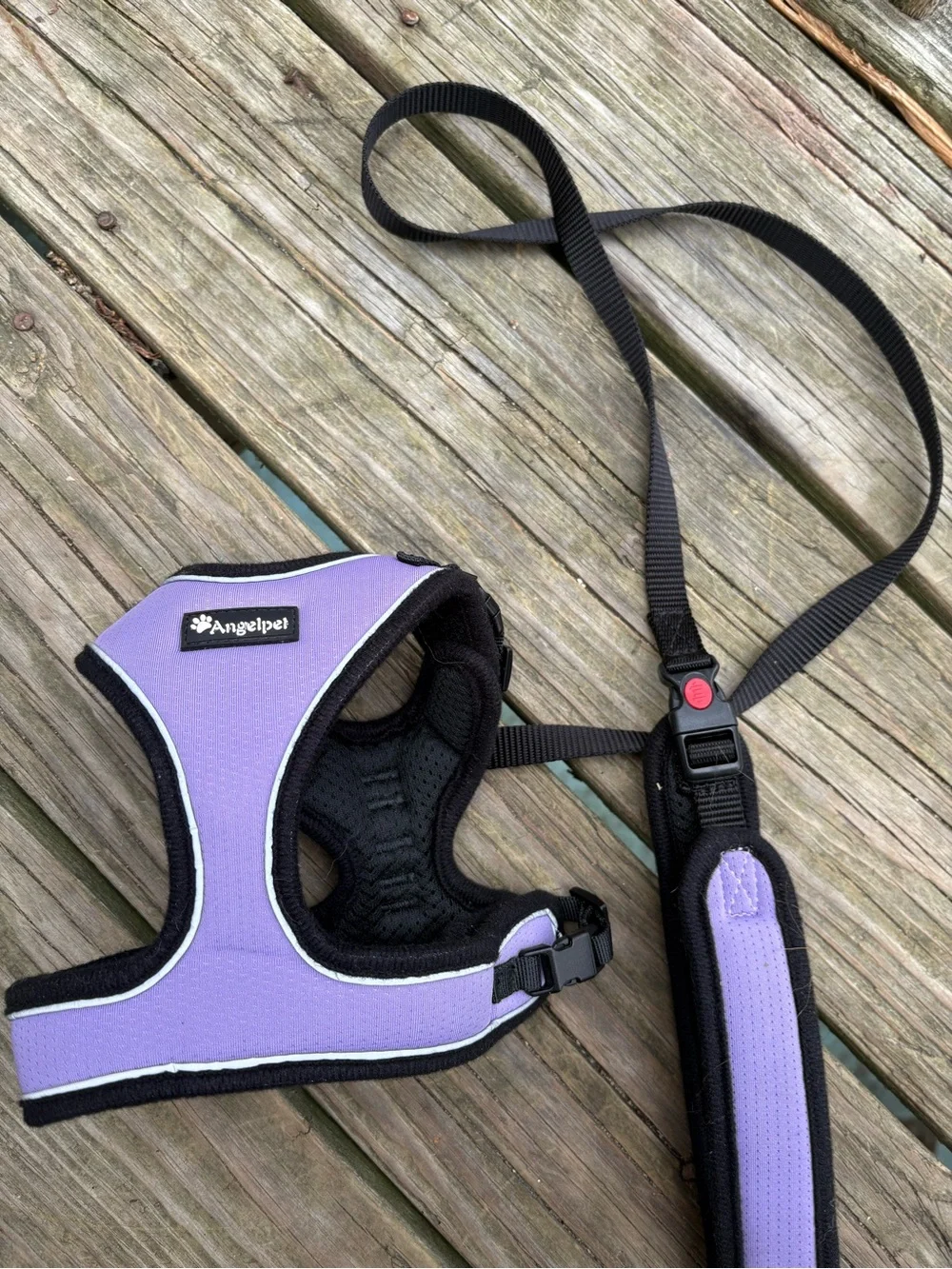Angel Lavender Padded Harness and Leash Set for Small Pets
